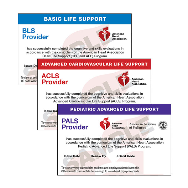 American Heart Association BLS, ACLS, PALS, CPR/First aid in